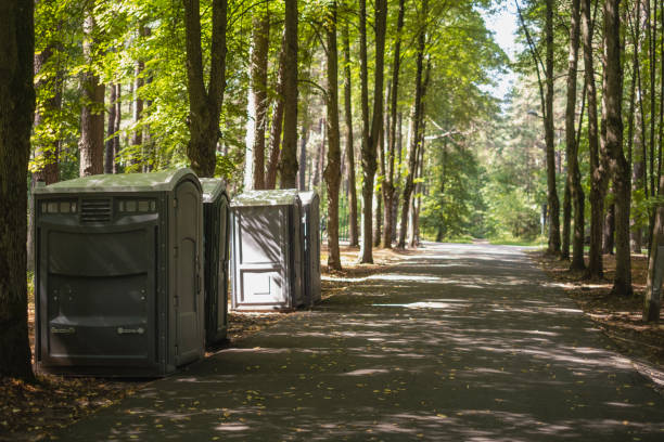 Portable Toilet Options We Offer in Murphysboro, IL